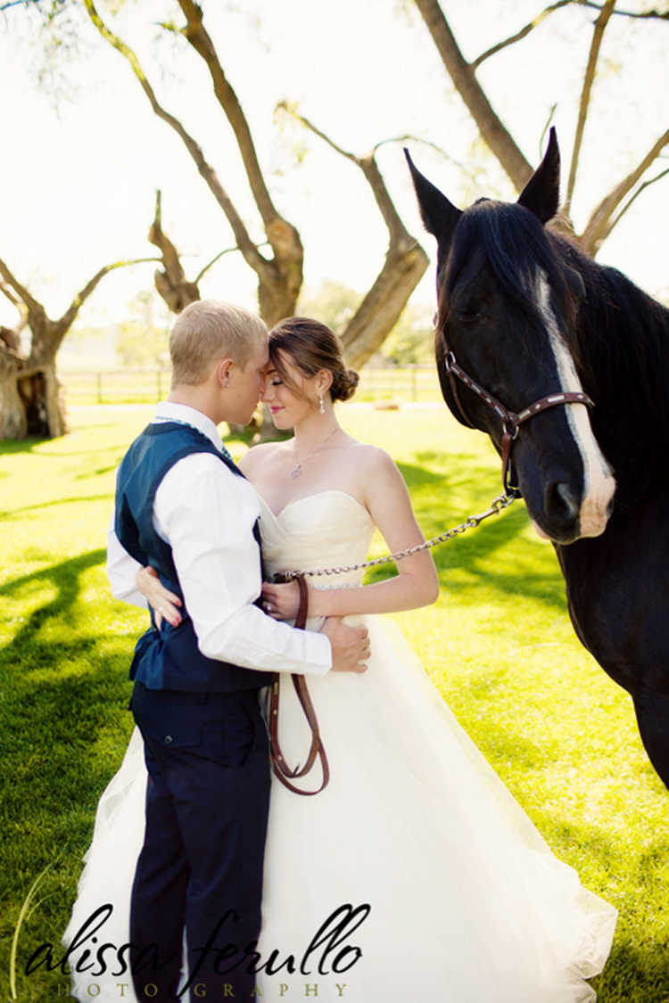 Wisconsin Photographers